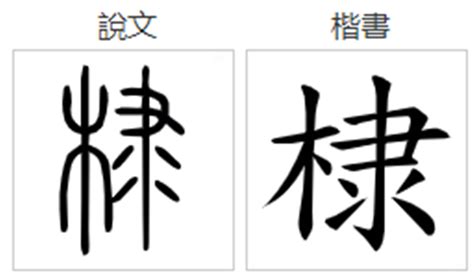 棣意思|棣的意思，棣字的意思